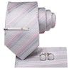 Hi-Tie Classic Mens Silk Ties Set 4 PCS Necktie Pocket