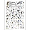 Earth Sky + Water - Coastal & Wetland Birds of
