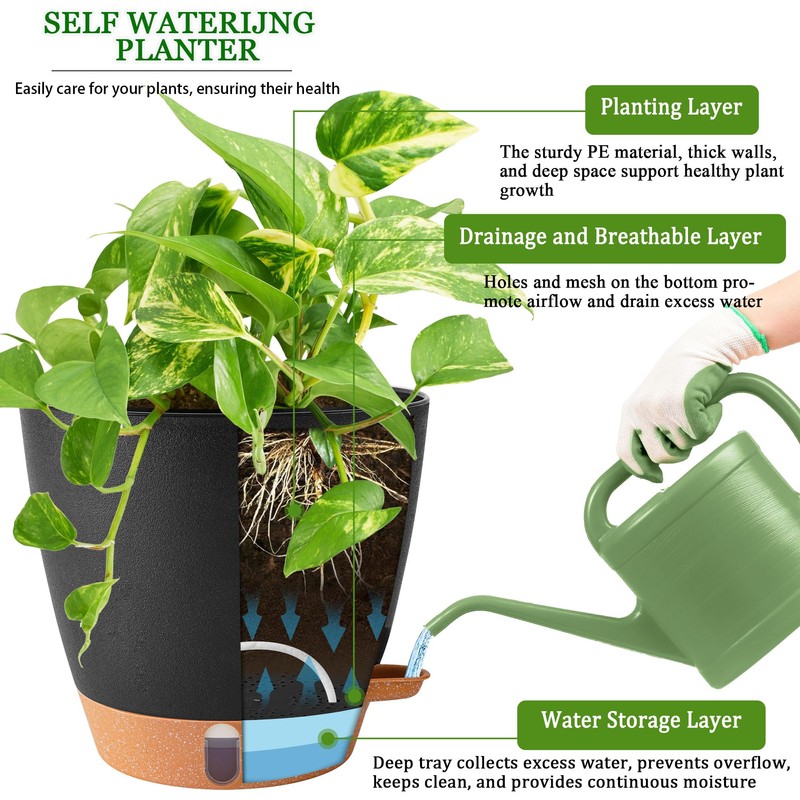 Fielda 2 Pack 8 Inch Pots for Plants Indoor, Plastic