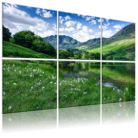 HIRESC 6 Pack Art Acoustic Panels Soundproof Wall Foam, 72X48 Inches Sound Absorbing Panels, Decorative Sound Blocker, Acoustic Treatment for Recording Studio, Adhesive Included, Green Landscape