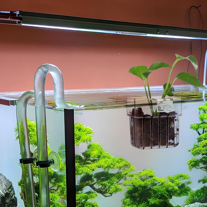 Hanging Aquarium Planter Cup, 1Pc Hanging Aquarium Planter with Hole,