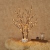 Hairui Twig Branches with Fairy LED Lights 18IN 70LED Battery