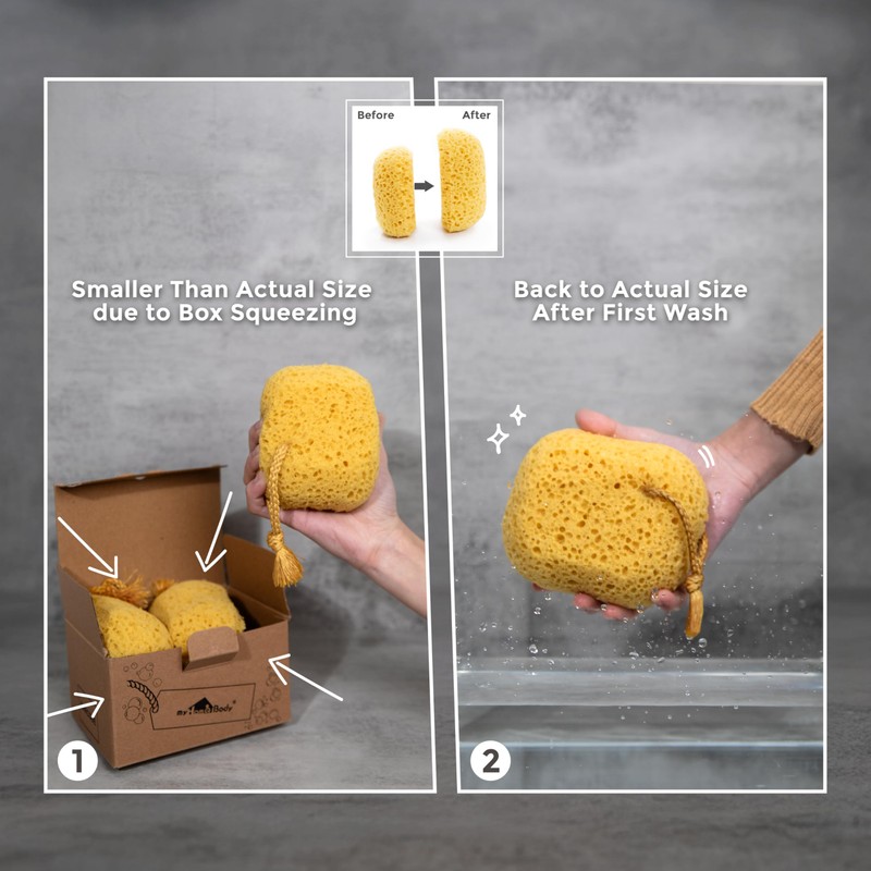 myHomeBody Bath Sponge, Foam Loofah, Body Scrubber for Bathing, Exfoliating