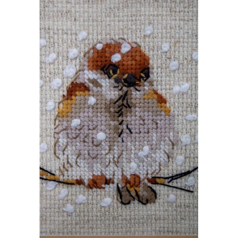 RIOLIS - Passero 1680, Punto croce 10x10cm, Punto croce kit
