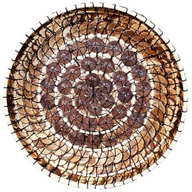 Stoneage Arts Bowl Coconut Coin Handmade 8/12inch (12 inch, Rattan Rim)