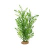 Fluval Aqualife Green Myriophyllum Plant, Plastic Aquarium Plant Decoration