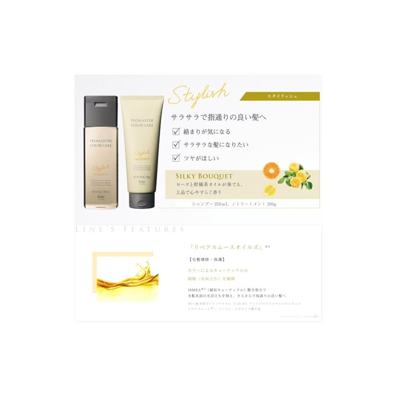 Hoyu Pro Pro Pro Master Color Care Stylish Hair Treatment