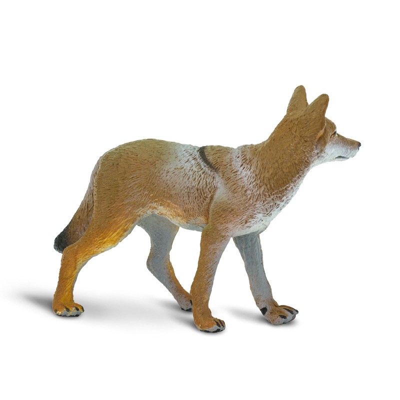 Safari Ltd. Coyote Figurine - Lifelike 3.75" Model Figure -