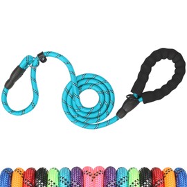 UsunyVora Slip Lead 6 FT for Medium and Large Dogs,Puppy Dog Training Leash Heavy Duty,No Pull Reflective Nylon Dog Leash,Rope Training Leash for Dogs That Pull,Sky Blue