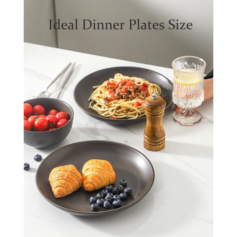 Tikooere Dinner Plates Set of 4, 10 Inch Ceramic Plates