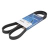 DAYCO 5PK1397 V-Ribbed Belt for Vauxhall Astra J Insignia A