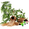 10PCS Crested Gecko Tank Accessories, Reptile Plants Bridge Vines, Coconut