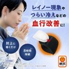 桐灰（きりばい） ヒエナース 手の温熱ホルダー 詰め替え用 温熱シート レイノー現象 つらい冷えなどの血行不良に 血行改善温熱治療具 詰替用 10枚入
