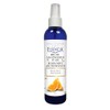 Essencia Room Mist Orange
