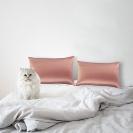 Primeone 2 Pack Satin Pillowcase for Hair and Skin Cooling, Similar to Silk Pillowcase, Pillow Cases 2 Pack with Envelope Closure, Gifts For Women, Standard Size 50x75 cm (Peach)