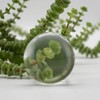 Sanung 8X Dome Magnifying Glass High Definition Round High Transparent