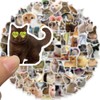 AUCEKO Pack of 100 Cat Stickers Pack Cat Sticker Set