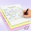 NextDayLabels - Veterinarian, 3-Part Rabies Vaccination Certificates for Cats &