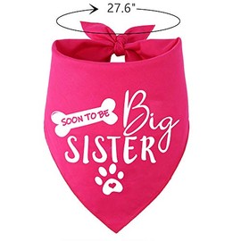 Big Sister Dog Bandana,Reversible Triangle Bibs Pet Scarf