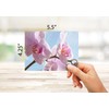 Small World Greetings Orchid Flower Note Cards 12 Count -