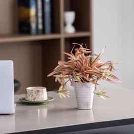 Avoeco Faux Hanging Plant, Artificial Spider Plant in Pot Fake Grass Plants Decorative Chlorophytum Comosum in Pot for Indoor Home Office Desk Shelf Table Kitchen Bathroom Bedroom Decor (1, Red)