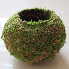 Moss Ball Flower Pot Natural Planter Bonsai Plant Holder Bird Nest for DIY Gardening Home Table Decoration - 18cm