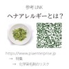 パッチテストキット [ヘナ＆インディゴ] ２包セット