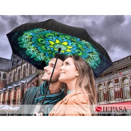 SIEPASA Spar. Saa Double Layer Inverted Umbrella with C-Shaped Handle, Anti-UV Waterproof Windproof Straight Umbrella for Car Rain Outdoor Use