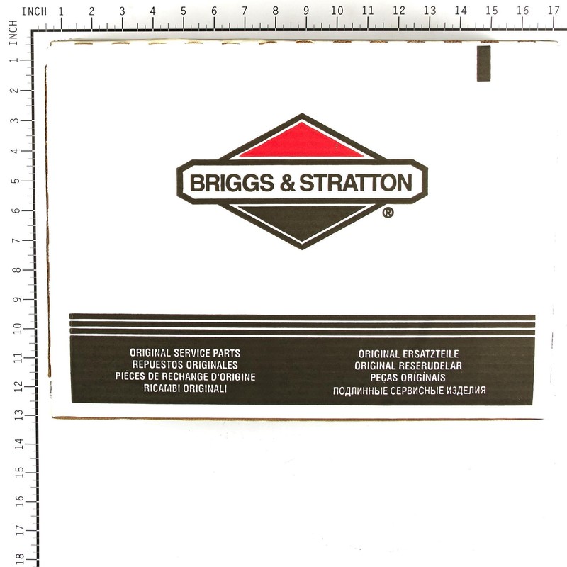 Briggs & Stratton 196006GS 1/4-Inch X 25' Pressure Washer Hose