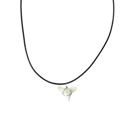 BlueRica Shark Tooth Pendant on Minimalist Black Cord or Chain Necklace with 2" Adjustable Chain - Beach Surfer Style (Black Cord (2L))