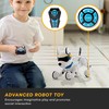 Top Race Rechargeable Robot Dog- Interactive Smart Robo Dog for