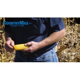 Bulk Corn Cobs Locally Grown for Wildlife Feeding Squirrels, Deer, Chipmunks (25 Pounds)