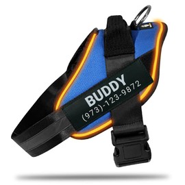 DOGGYKINGDOM Light Up Dog Harness, Custom No Pull LED Dog Harness Glow-in-The-Dark for Night Walking, USB Rechargeable, Reflective Lighted Safety Vest for Medium Large Dogs, Adjustable, Blue, M