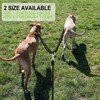 Dual Retractable Dog Leash for 2 Large Dogs (Up to
