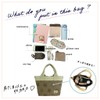 PORTA FORTUNA Mini Tote Bag, Lunch Bag, Tote Bag, Mini