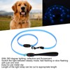 Outdoor Dog LED Collars with Leashes Set USB Rechargeable Pet