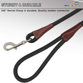 SEPXUFORE 6FT/8FT/10FT Rope Dog Leash, 10+ Colors Classic Leash, 1/2” Strong Nylon Climbing Leash with Leather Tailor Connection, for Small Medium Large Pets