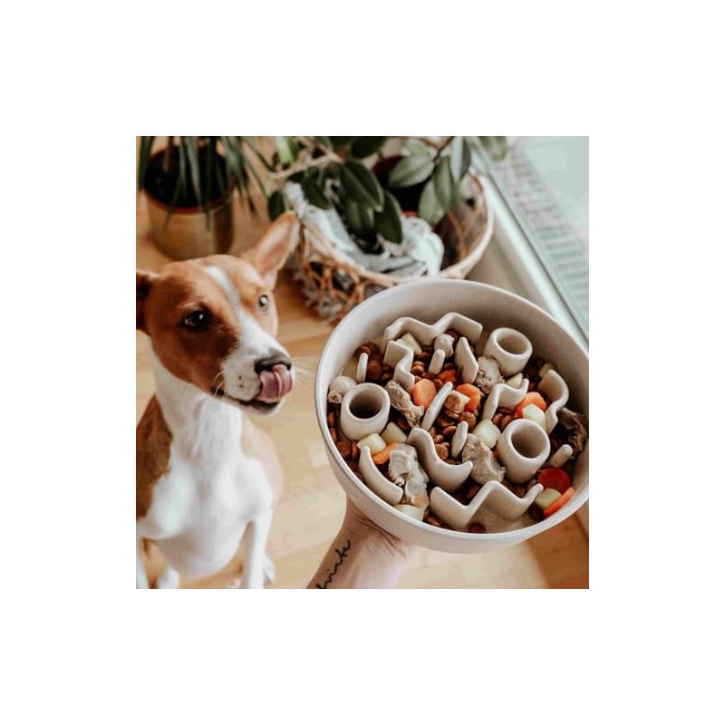 District 70 - Bamboo Dog Slow Feeder - Merengue -