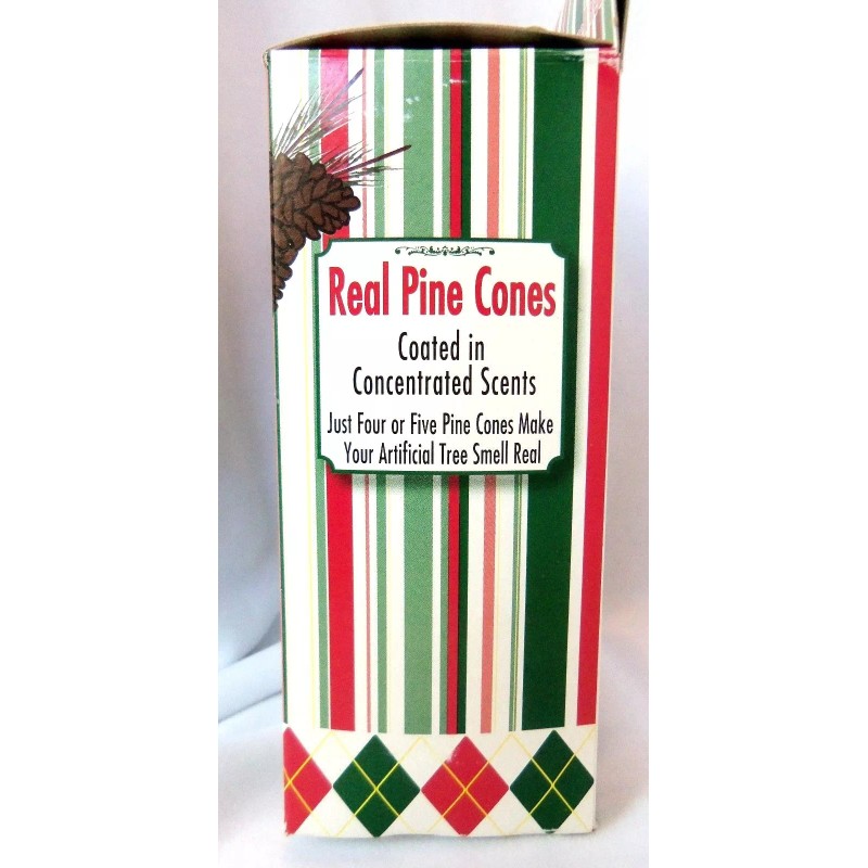 Winter Woods Holiday Scenting Kit Pine Cone Ornaments to Scent