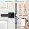 Probrico Smart Lock Keyless Entry Door Lock with Handle, Black