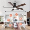HUMHOLD 52" Flush Mount Ceiling Fans with Lights and Remote
