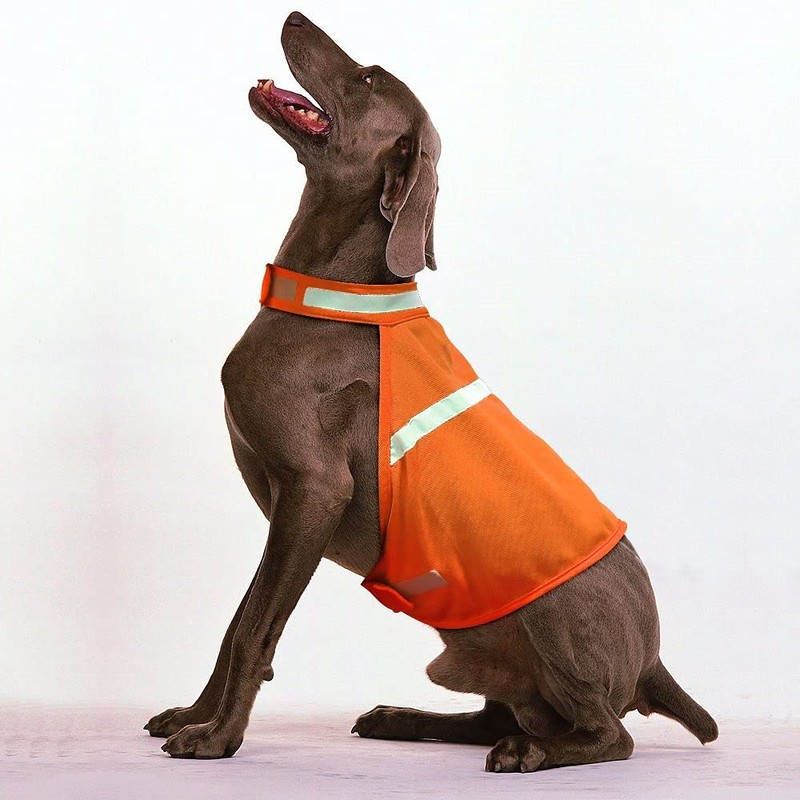 Dog Jacket High Visibility Safety Reflective Dog Vest for Small