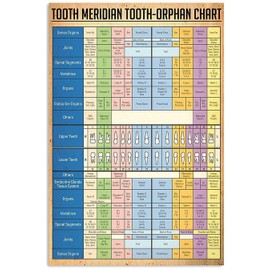 JIUFOTK Dentist Knowledge Posters Metal Signs Tooth Meridian Tooth-Orphan Chart Vintage Plaque Dental Room Decor Club Office Bathroom Wall Decor 8x12 Inches