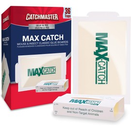 Catchmaster Max-Catch Mouse & Insect Glue Trap - 36 Pack