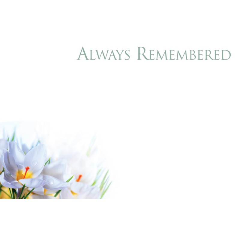 ShredAstic® PACK OF 4 assorted small Florist Funeral flower Message