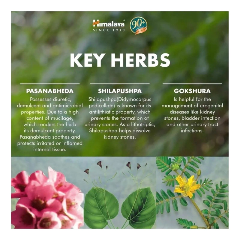 Cystone Himalaya Calculós Renales 2 Pack