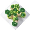 DecoPac St. Patrick's Day Fusion Mix Sprinkles, 26oz, Green, White