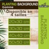 Reptiles Planet Natural Planting Background for Terrarium, 20 x 30