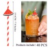 Ouliget Watermelon Shaped Disposable Straws,Beach Party Paper Stripe Straws,Disposable Drinking