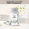 DAO Capsules 240 Pieces (High Dose) - 300,000 HDU per
